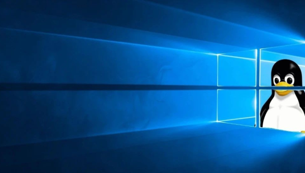 linux和windows软件一样吗-雪白的乌云