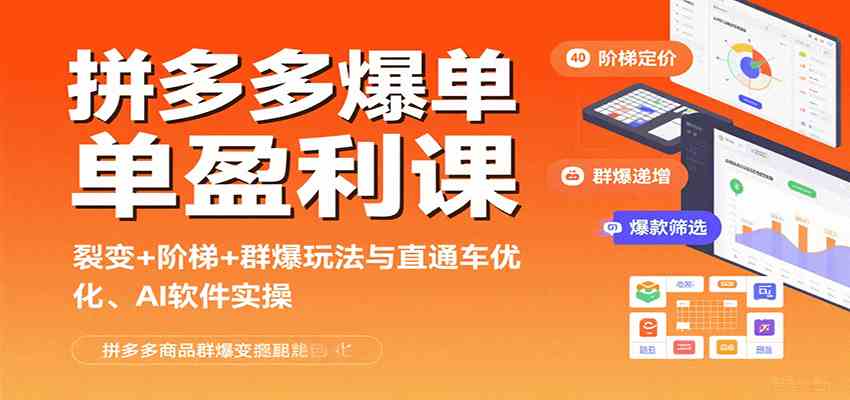 拼多多爆单盈利课：裂变+阶梯+群爆玩法与直通车优化、AI 软件实操-雪白的乌云