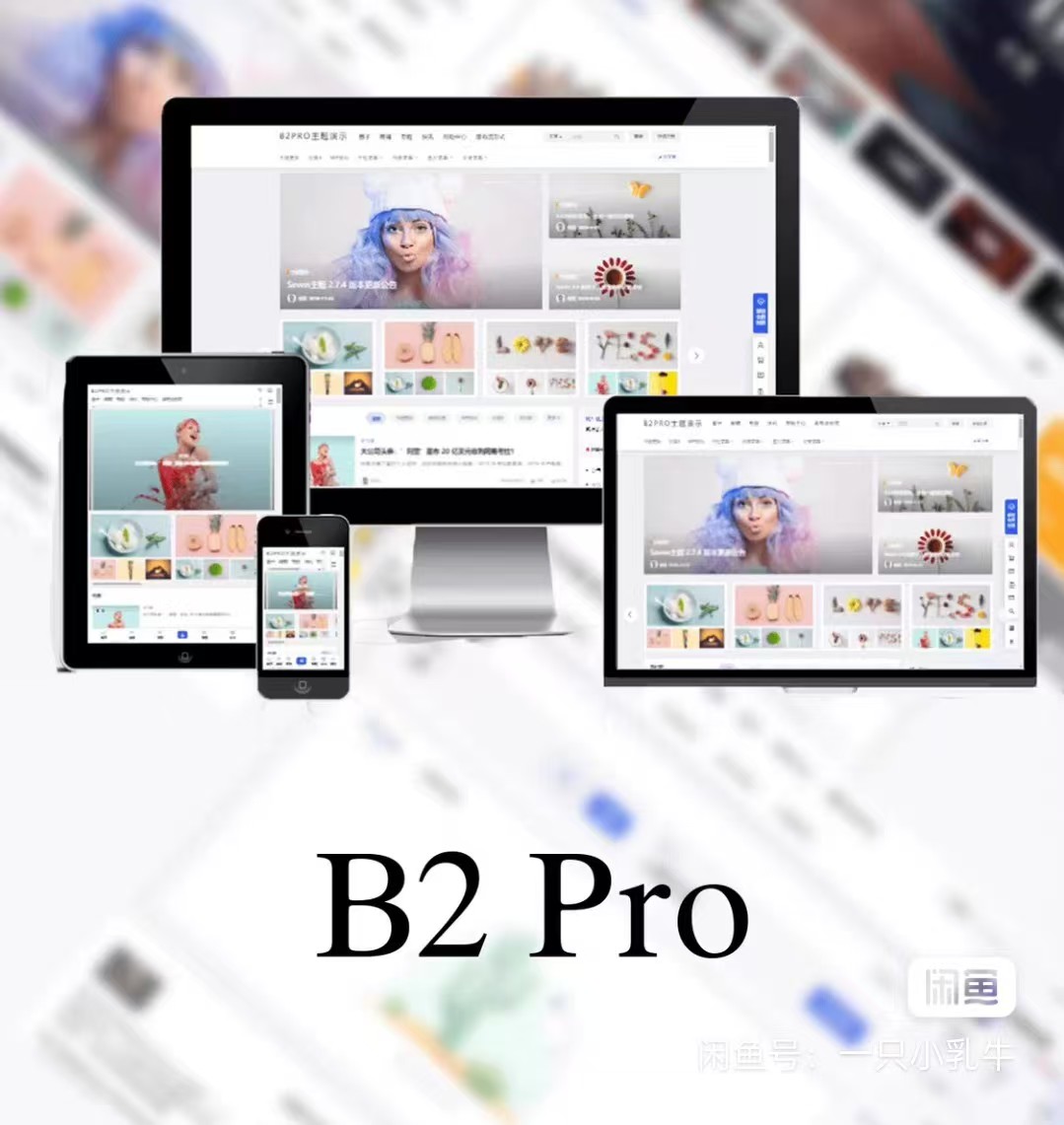最新版7B2 PRO主题5.4.2 免授权开心版源码-雪白的乌云