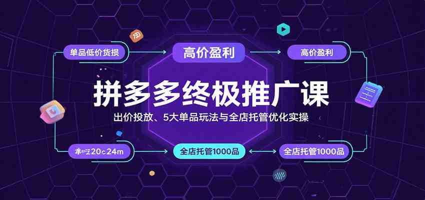 拼多多终极推广课：出价投放、5大单品玩法与全店托管优化实操-雪白的乌云