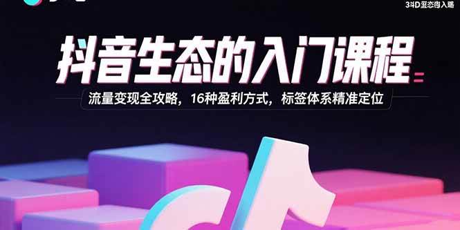 （15856期）抖音生态的入门课程：流量变现全攻略，16种盈利方式，标签体系精准定位-雪白的乌云