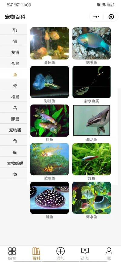 开源宠物社区微信小程序源码-雪白的乌云