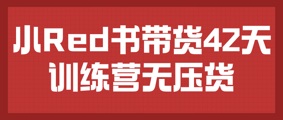 小Red书带货42天训练营无压货-雪白的乌云