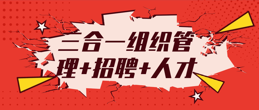 三合一组织管理+招聘+人才-雪白的乌云