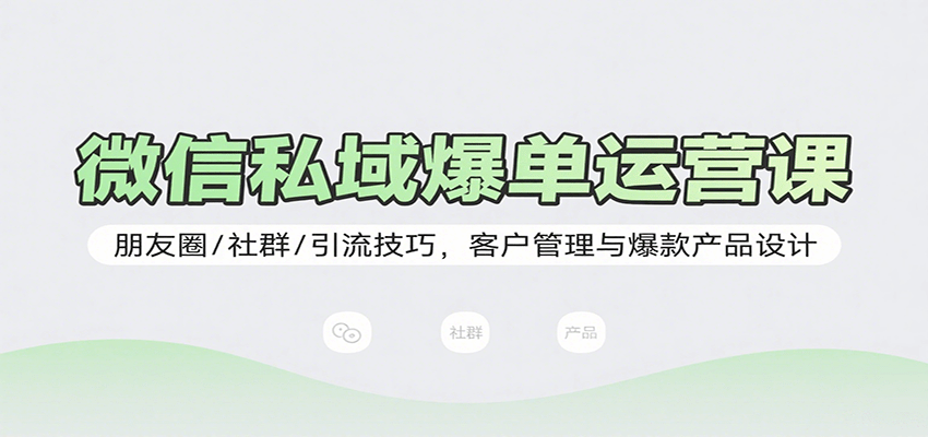 微信私域爆单运营课：朋友圈/社群/引流技巧，客户管理与爆款产品设计-雪白的乌云