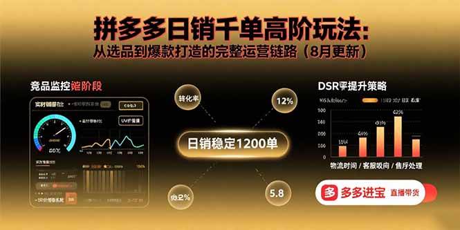 （15850期）拼多多日销千单高阶玩法：从选品到爆款打造的完整运营链路（8月更新）-雪白的乌云